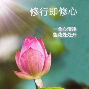 诗意人生；与众不同