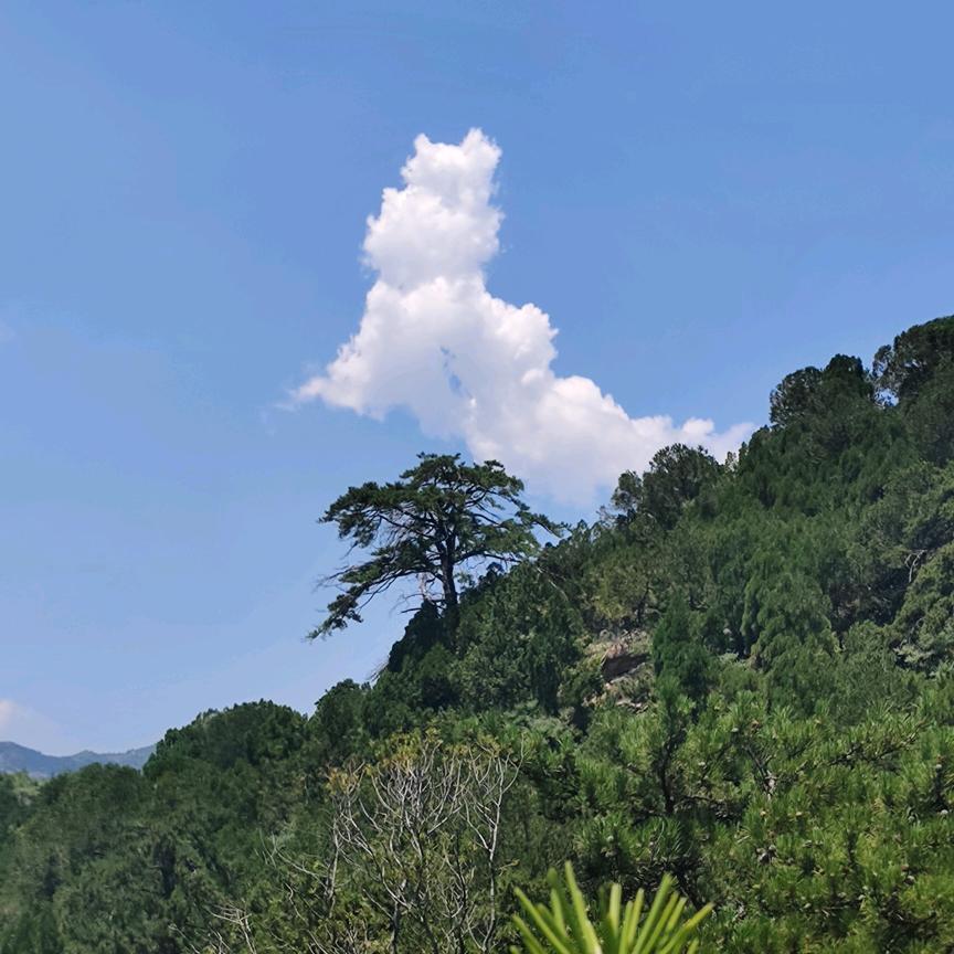 山南.水北