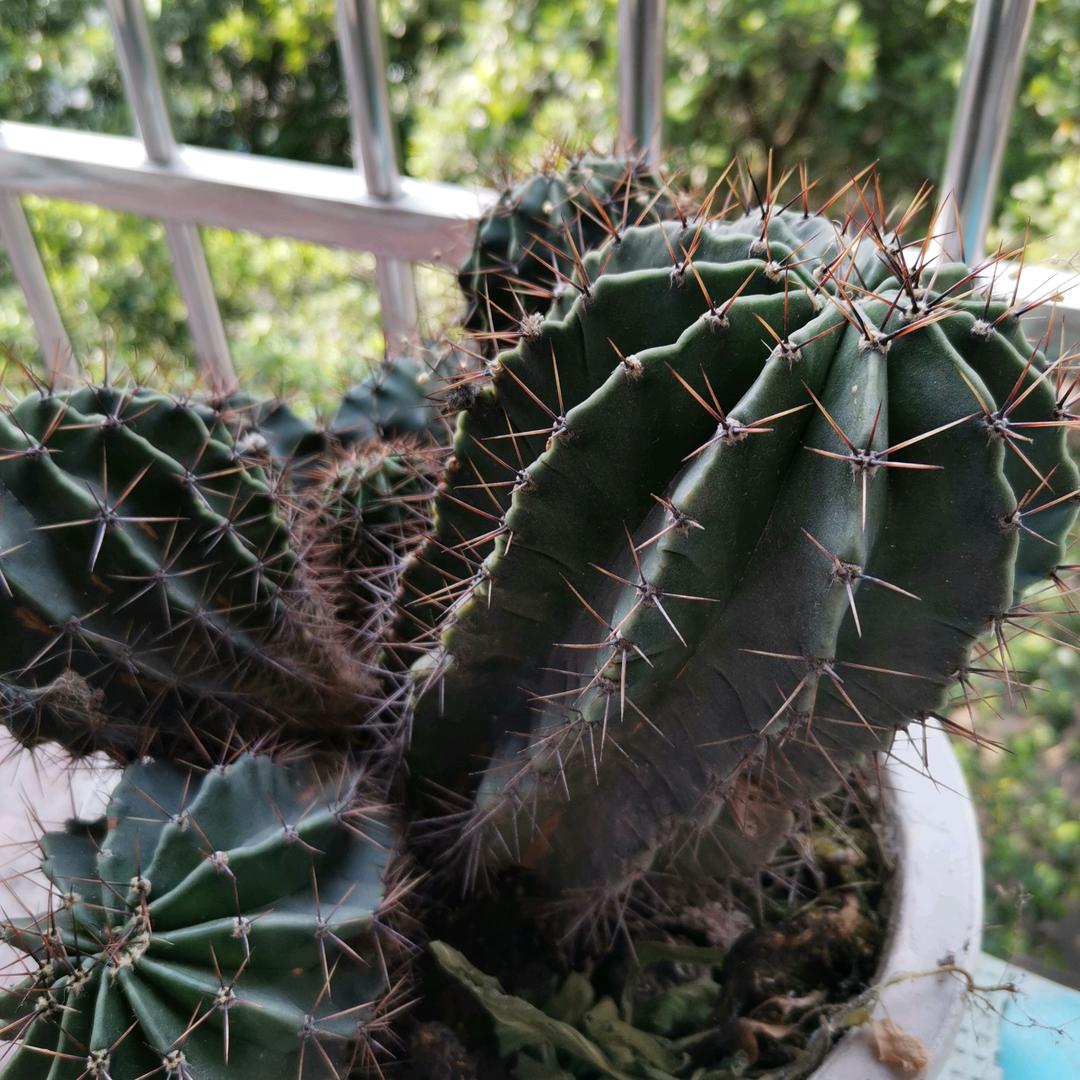 碧水蓝天