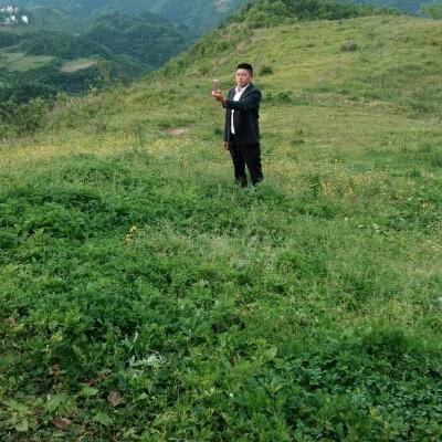 幸福一生