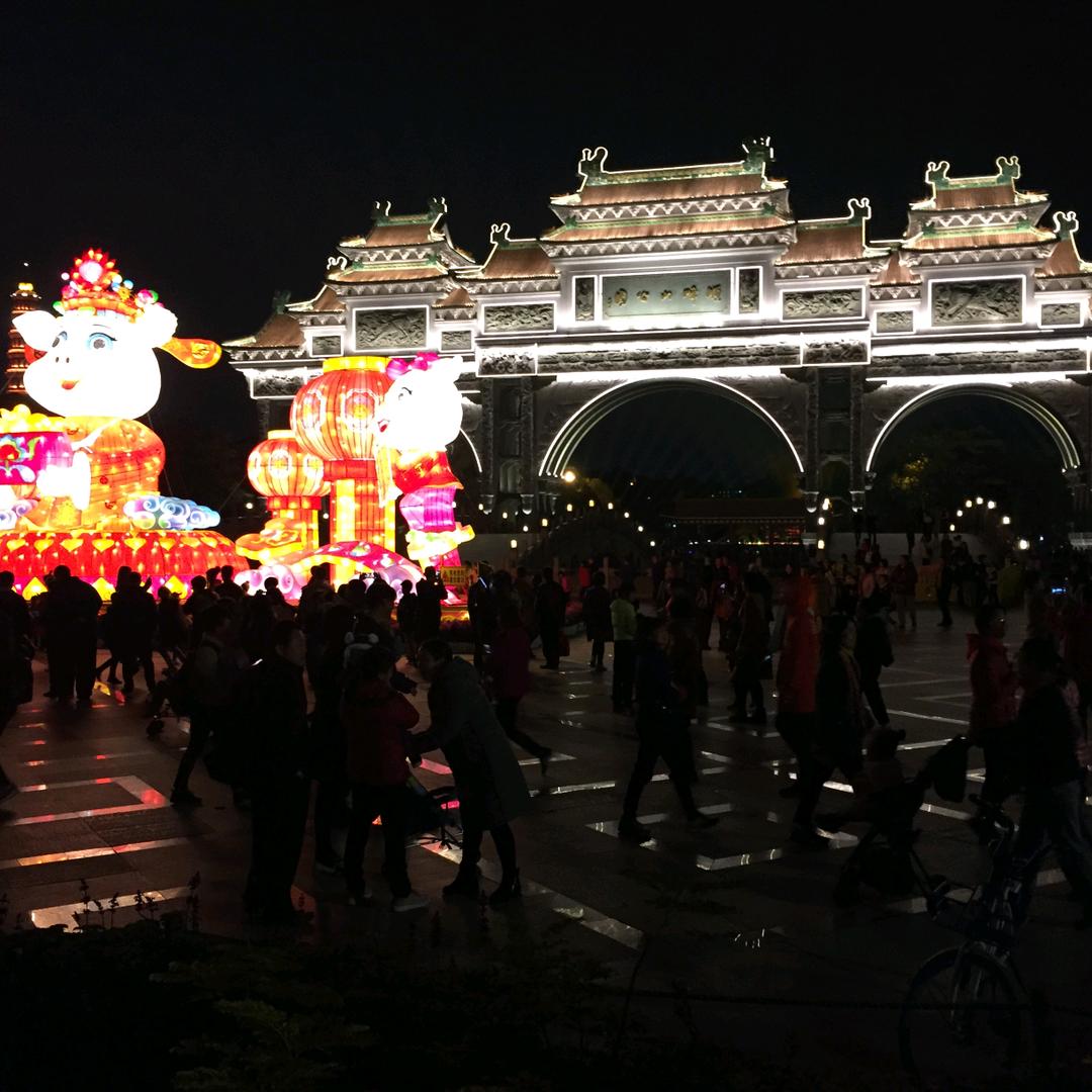 嚟顺德，一定得