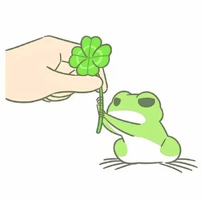 小青蛙的时光屋