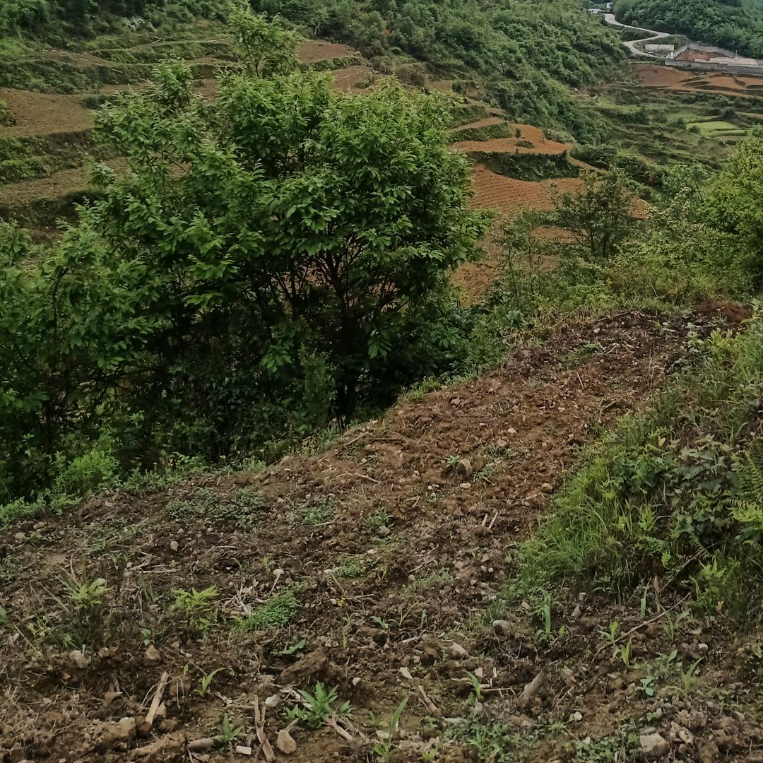 真爱难找