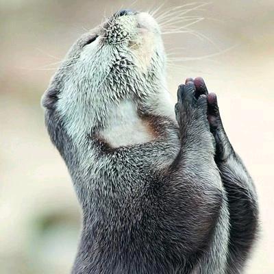 零～玖 有始有终