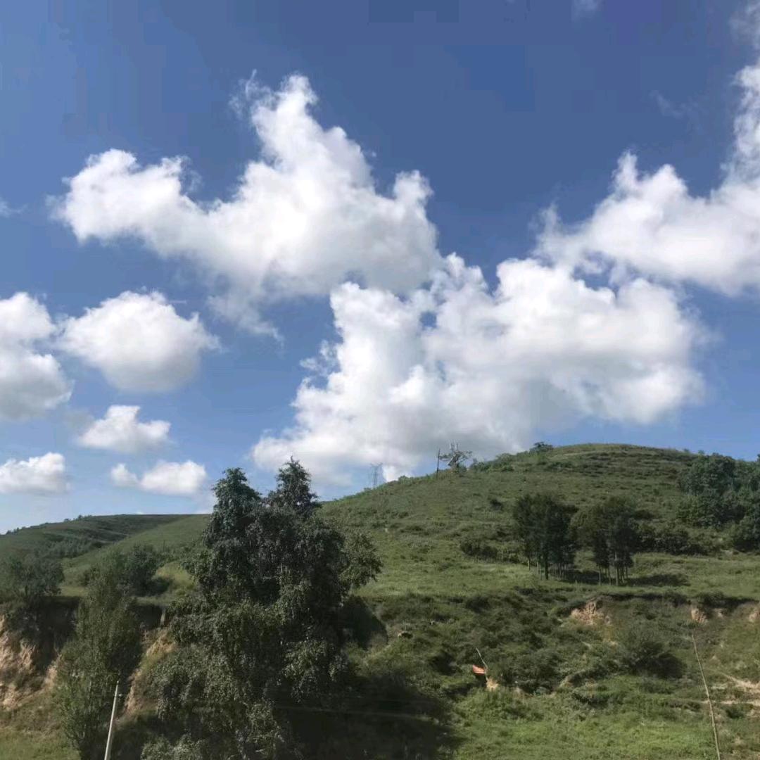 一朵风中的云☁