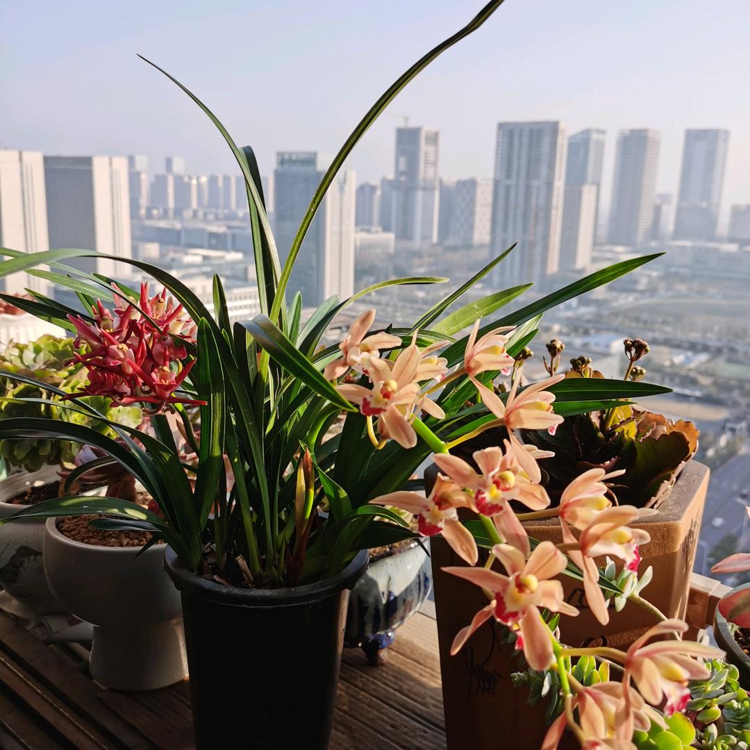 水清清