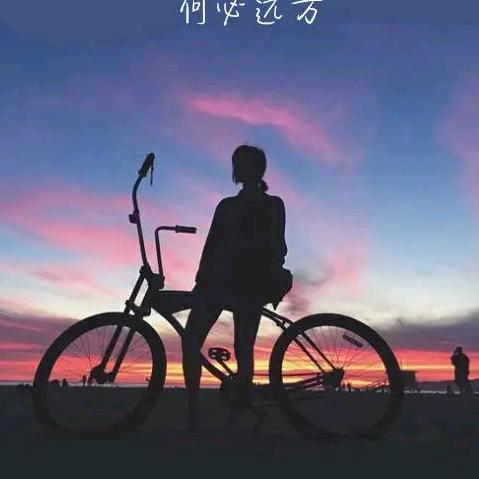 没有梦,哪来的远方