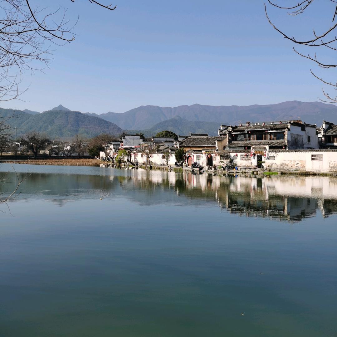 海棠