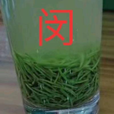 光头强1591731017923