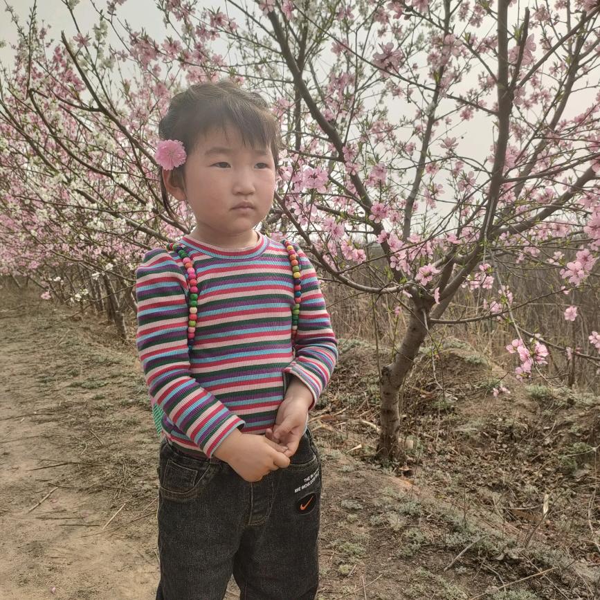 鑫可