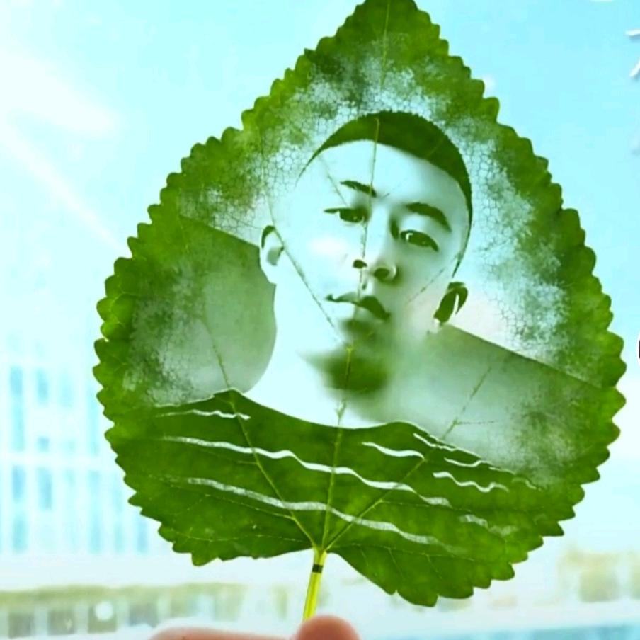 那一季“”好美{}