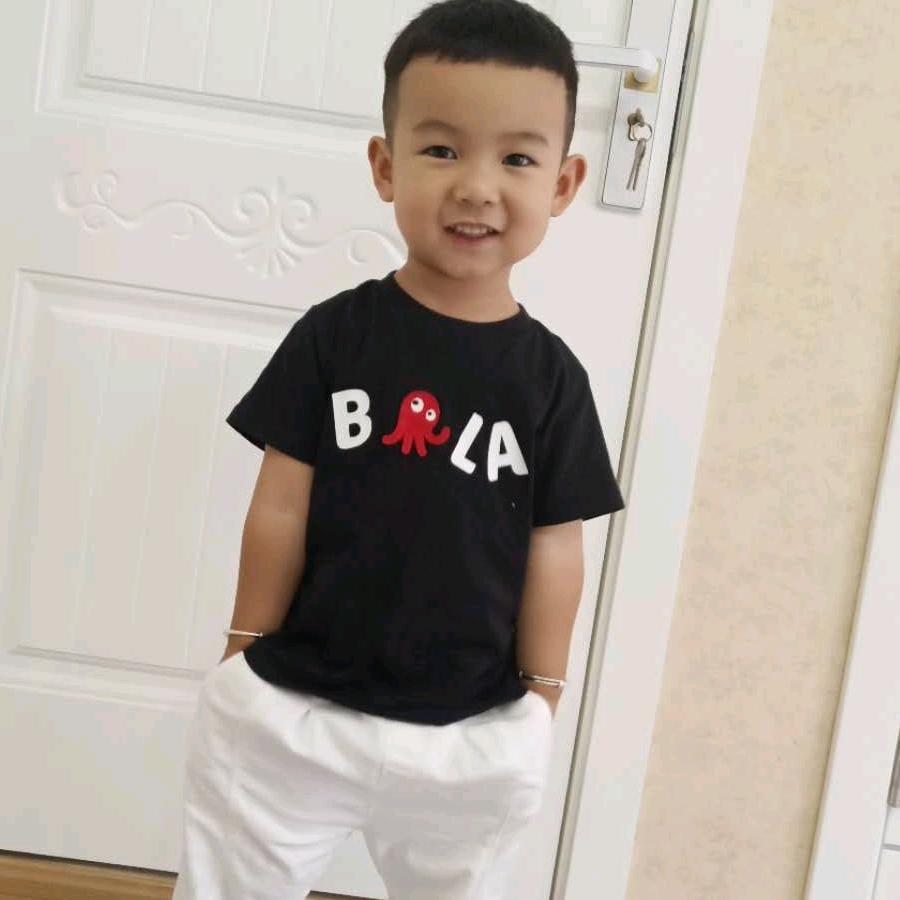 青阳。双虎木门