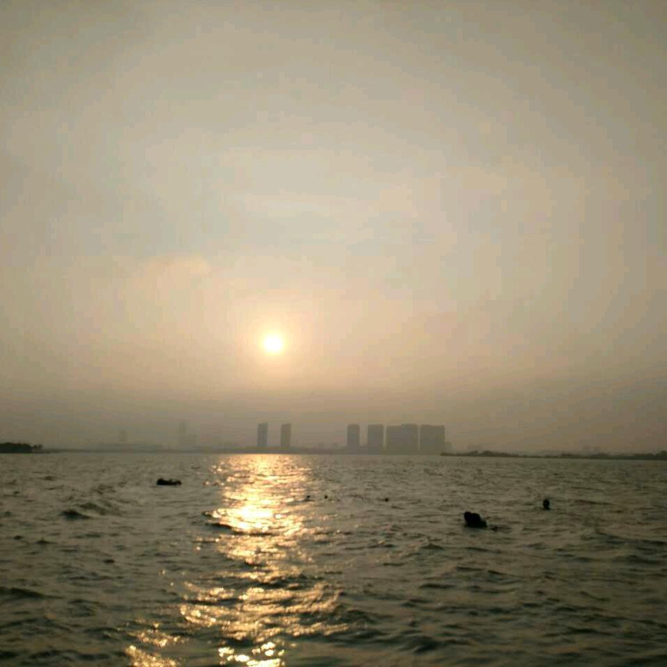 阳阳乐