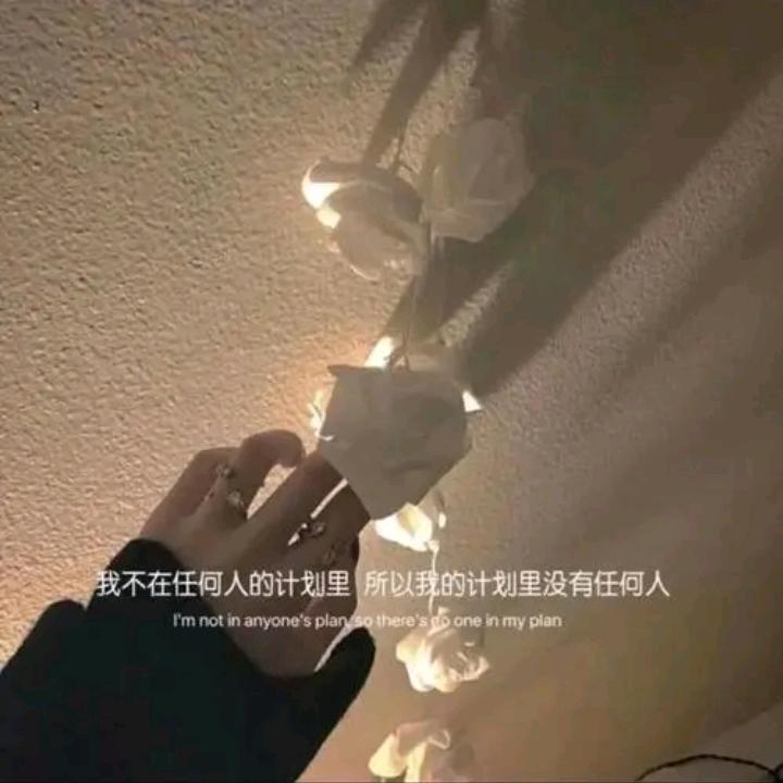 影子