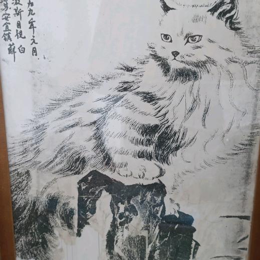 要淡定从容、才能日久見人心