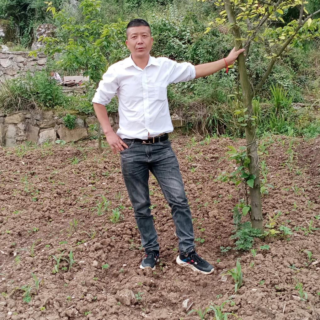 王师