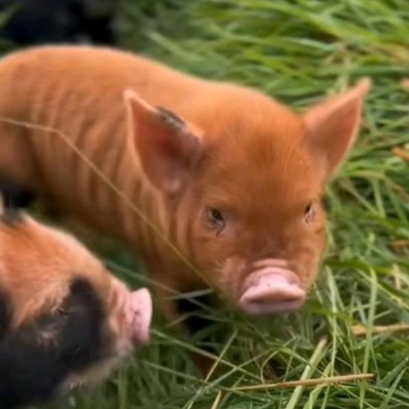 等某人老婆离婚