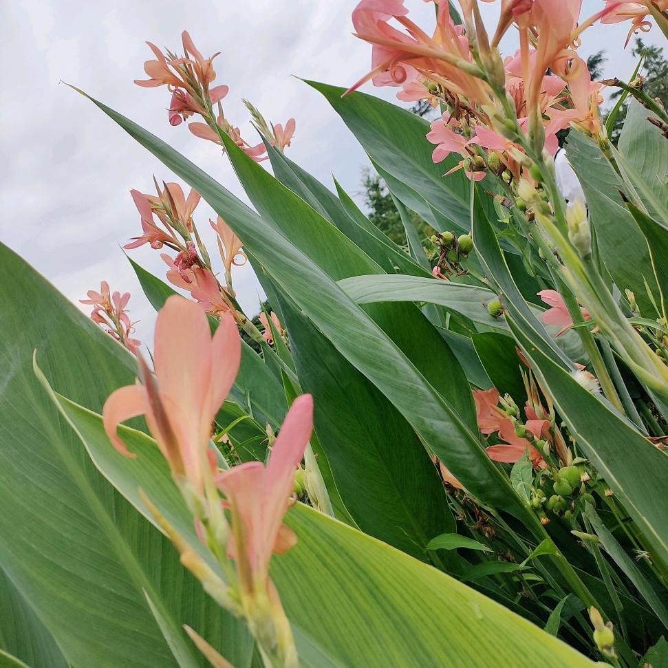 余生不是谁得谁