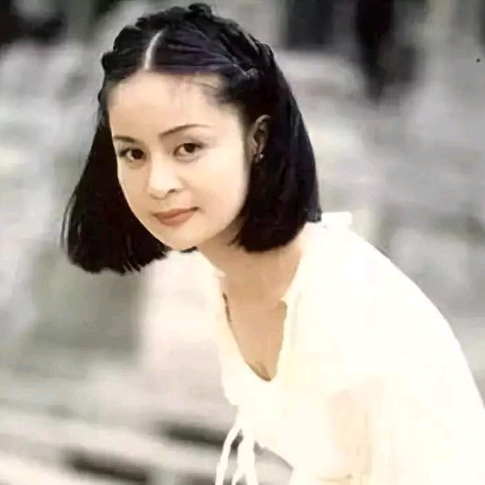 网红名人集