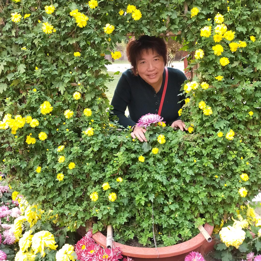 妙芝