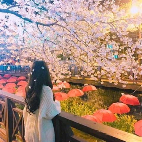 白#夭