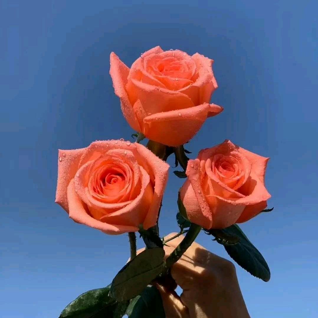 🌻🍁🐎景色依旧🌻🍁🐎