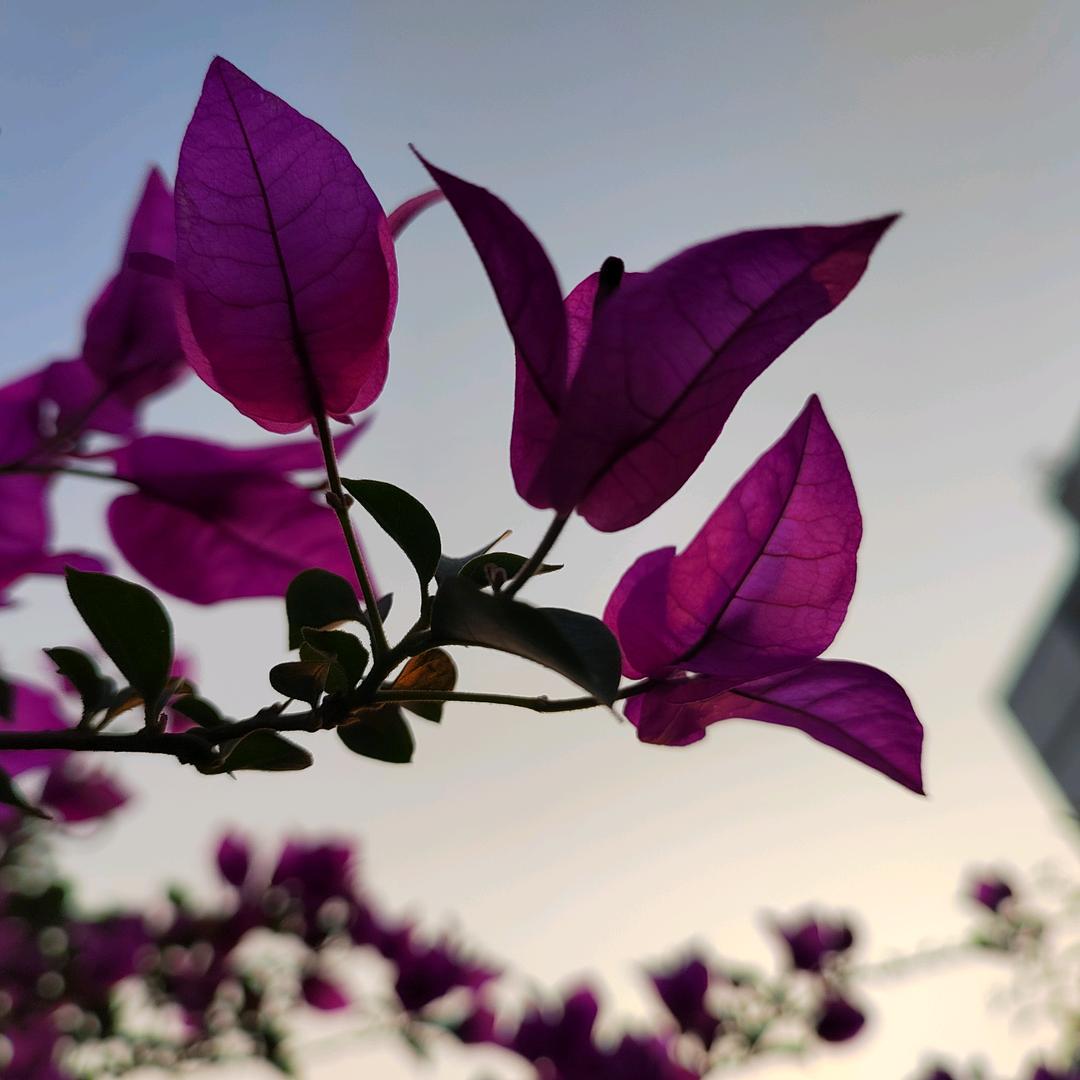 没有名字小酒馆