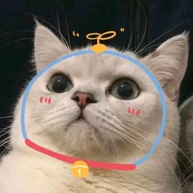 北国之春