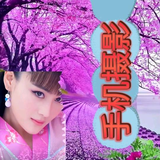 昨夜星月(手机剪映)