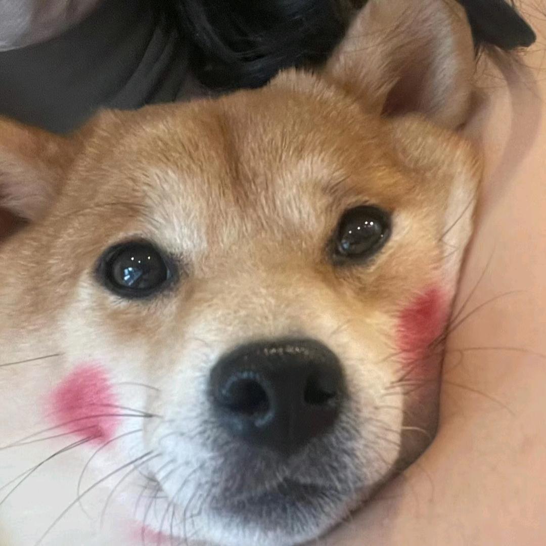 柴☁️