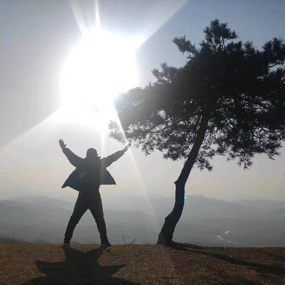 太阳当空___赵