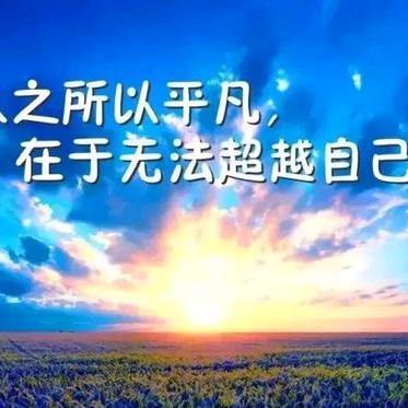 霞姐:生活美学家