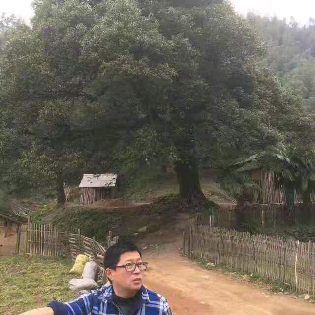 山下人