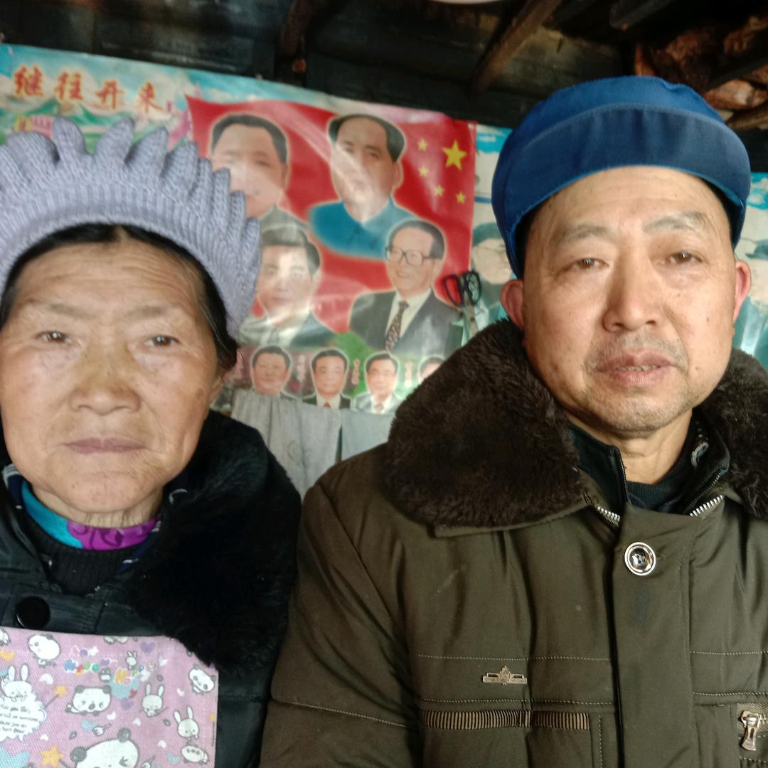 随心所欲