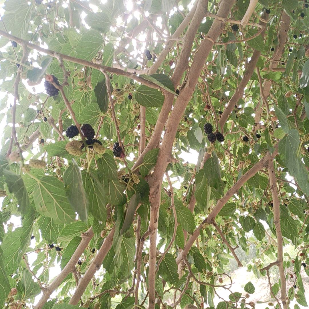 脚踏实地，