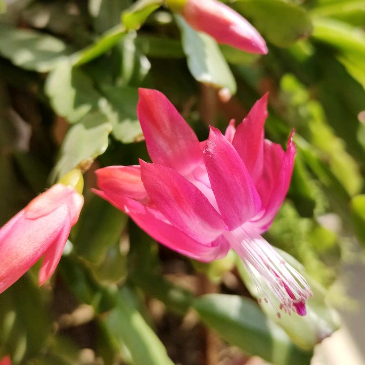 感恩遇见（4711）