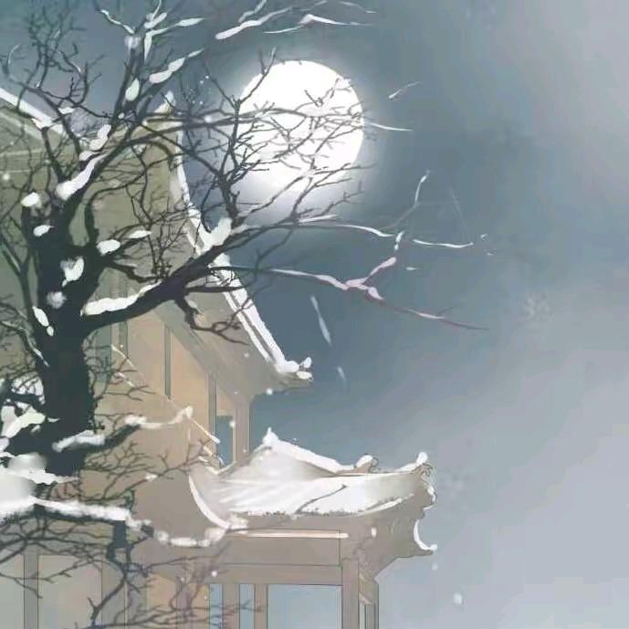龙禅先生