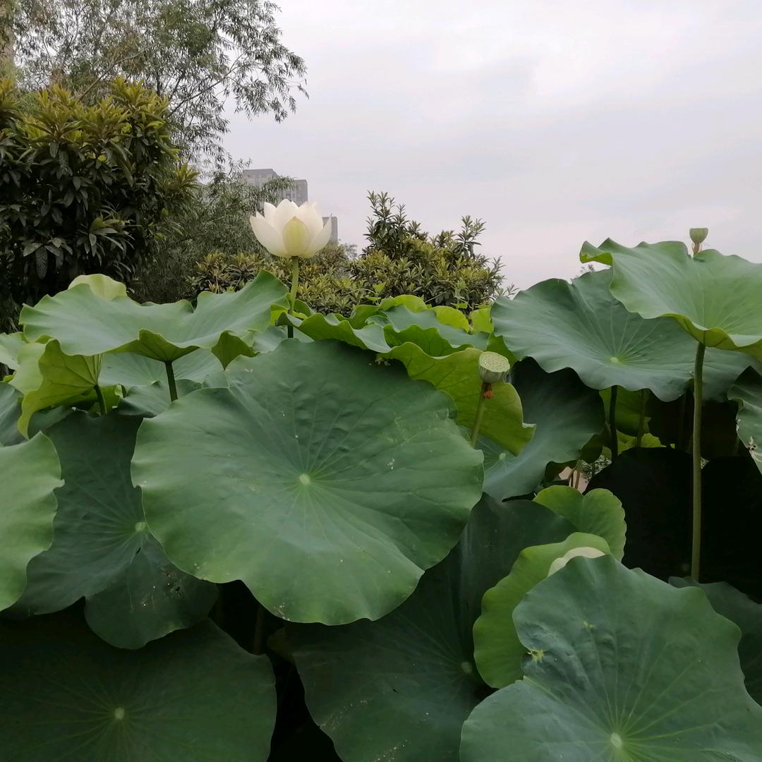 五金建材标准件