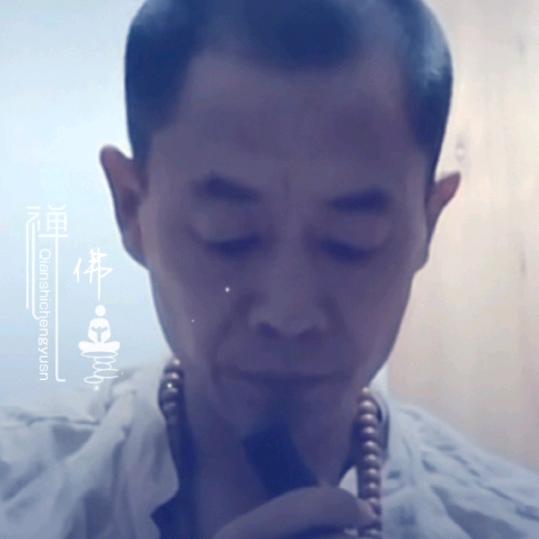 股海悟道5
