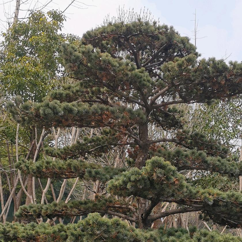 谁也不是谁的谁