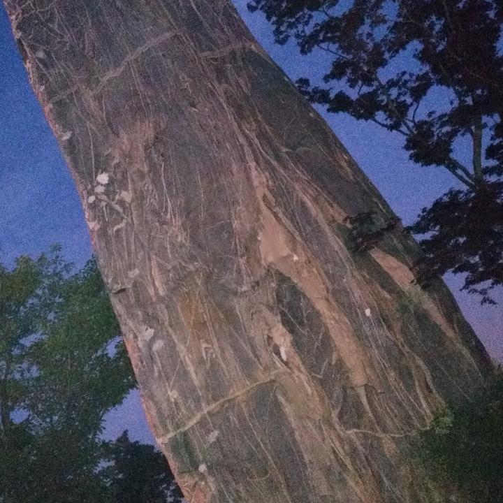 （易协会会员）