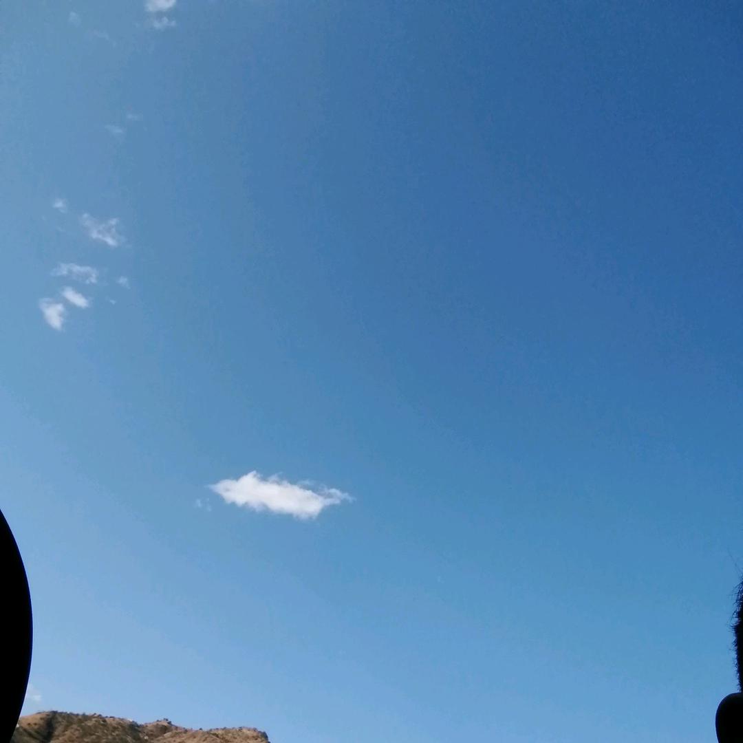 普藏