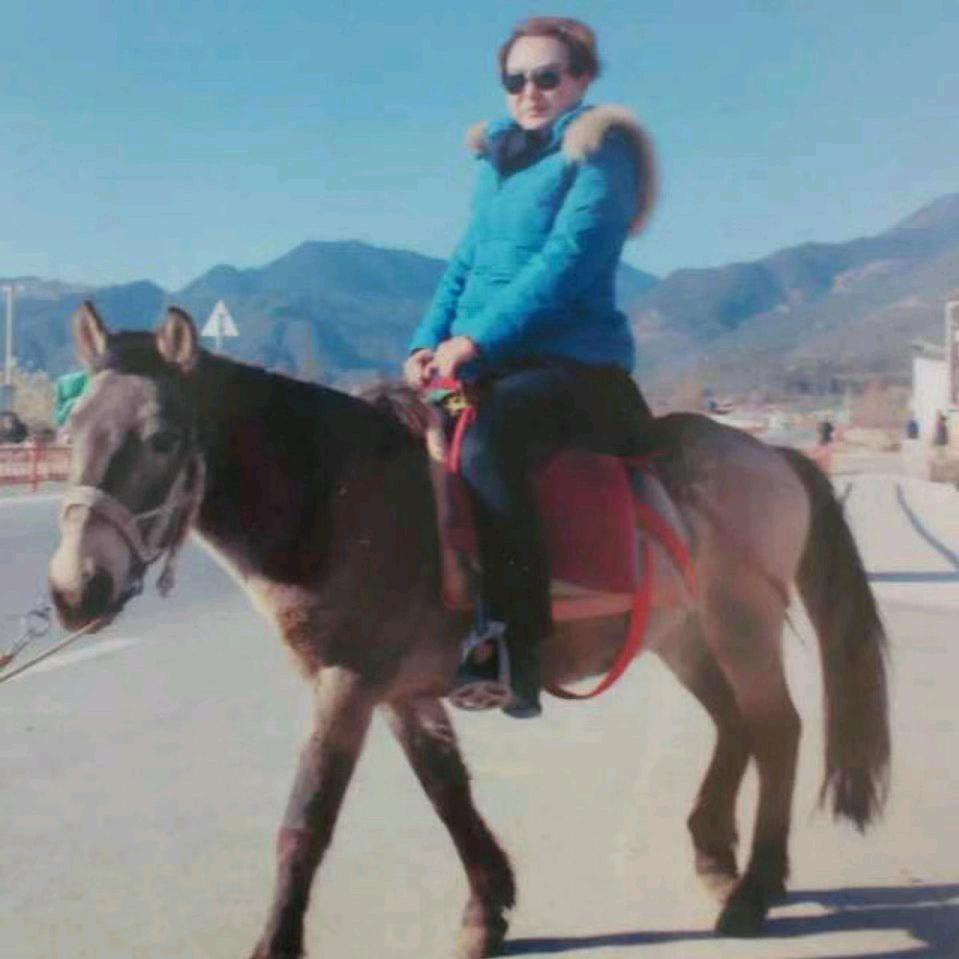 好运来／🐴