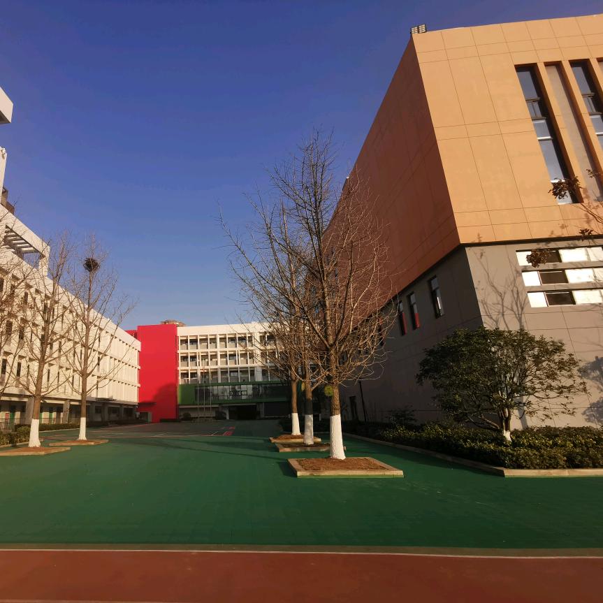 华师附小（南湖校区）