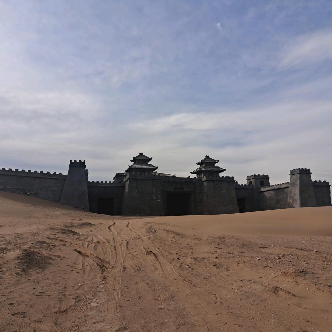 天漠影视旅游马匹