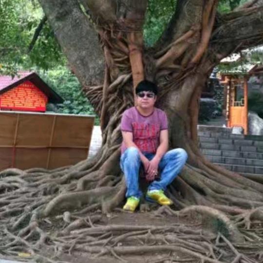小小草草