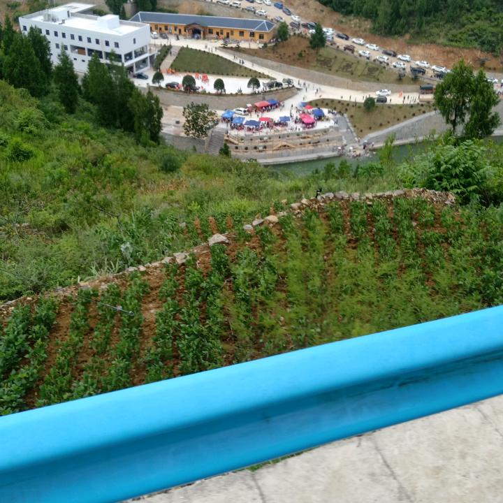 唯一的执着