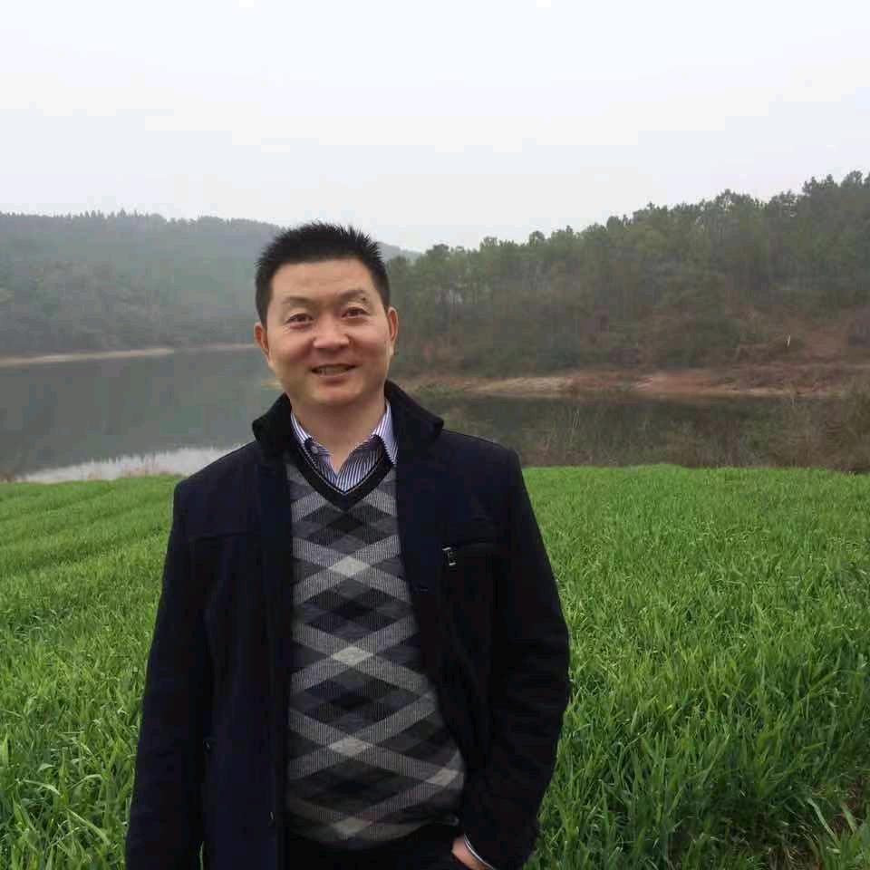 湖北香樟亿林绿化