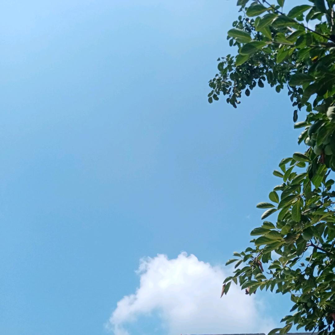 FPHS2512再生资源回收