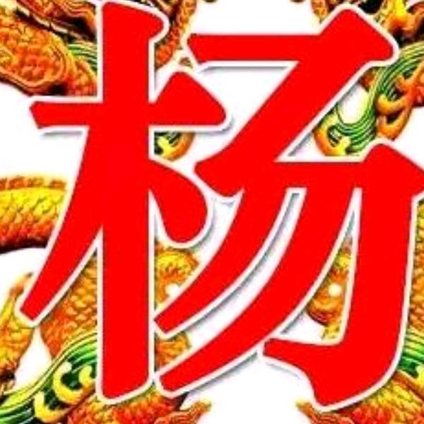 杨家女将🐉